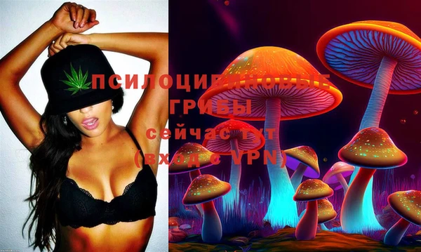 эйфоретик Верея